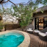 Phinda mountain lodge family cottage pool 1280