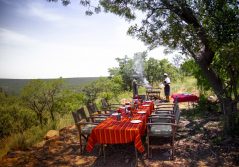 Ants nest bush lunch experience by teagan cunniffe 1280
