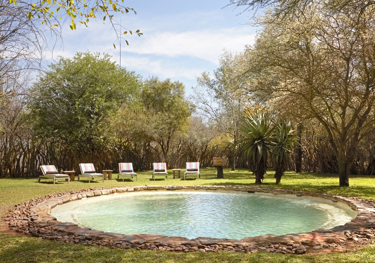 Jacis safari lodge swimming pool 1280