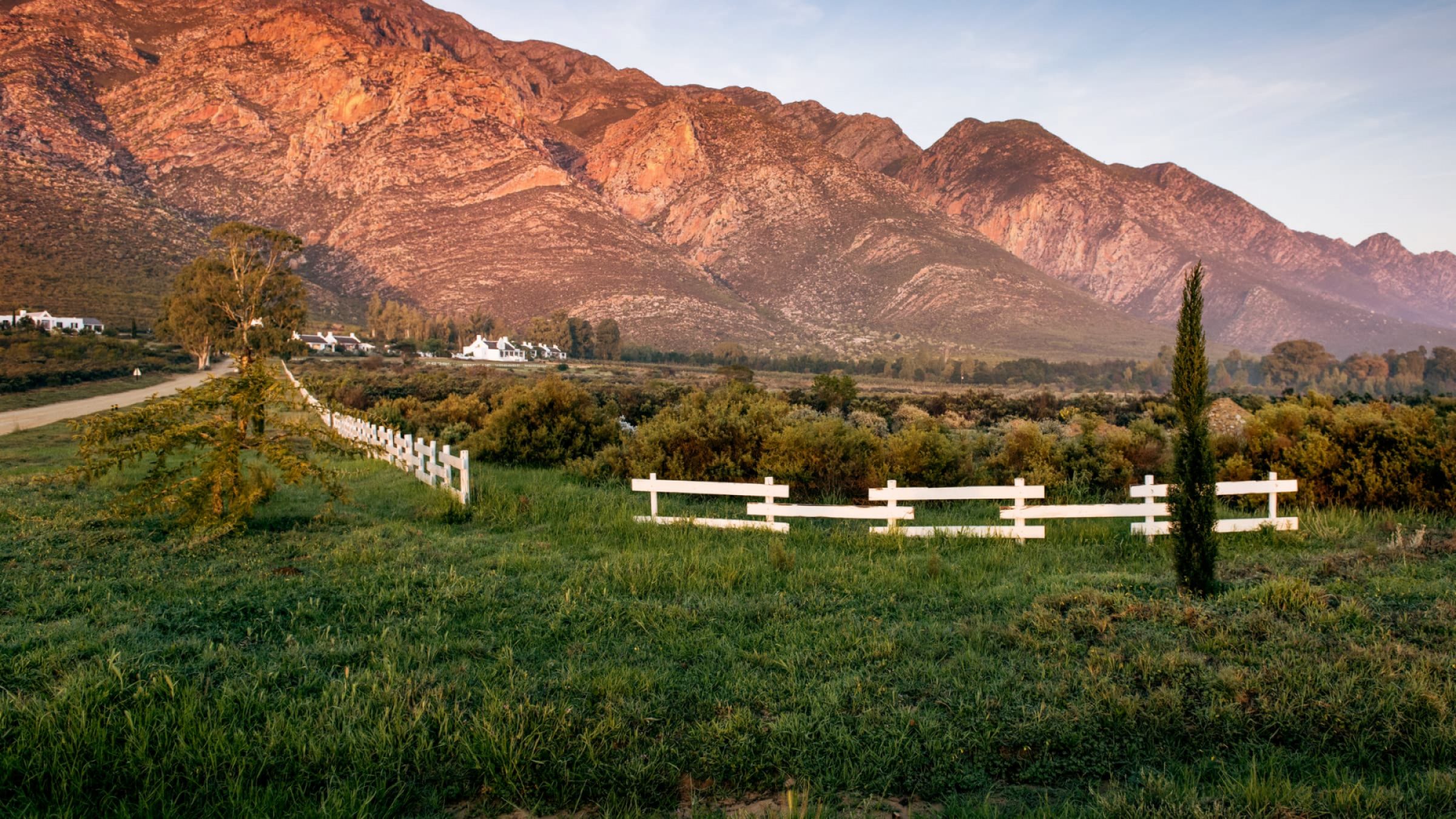 Galenia estate estate surrounded by olive groves 2400