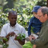 Arusha coffee lodge coffee tour 1280