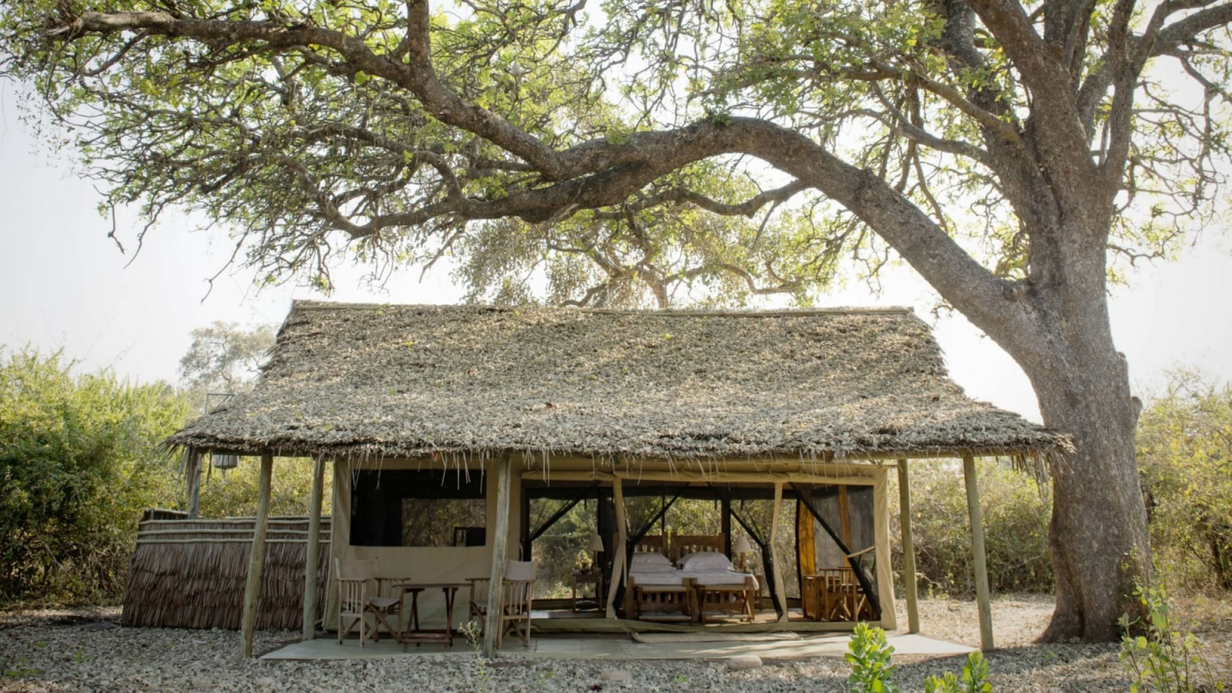 Kigelia ruaha tent exterior 2400