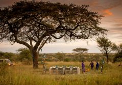Four seasons safari lodge serengeti bush dinner 1280