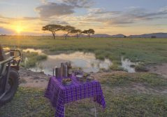 Grumeti serengeti river lodge coffee stop on a game drive 1280