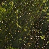Legendary migrational camps the wildebeest migration 1280