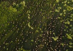 Legendary migrational camps the wildebeest migration 1280