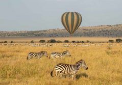 Mila tented camp balloon safari over the serengeti 1280