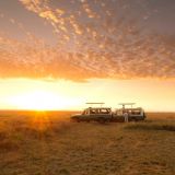 Serengeti safari camp serengeti game drive 1280