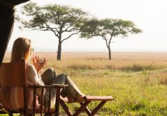 Serengeti safari camp morning coffee with a view 1280