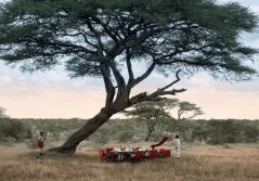 Serengeti under canvas bush lunch experience 1280
