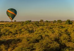 Lemala mpingo ridge balloon safari experience 1280
