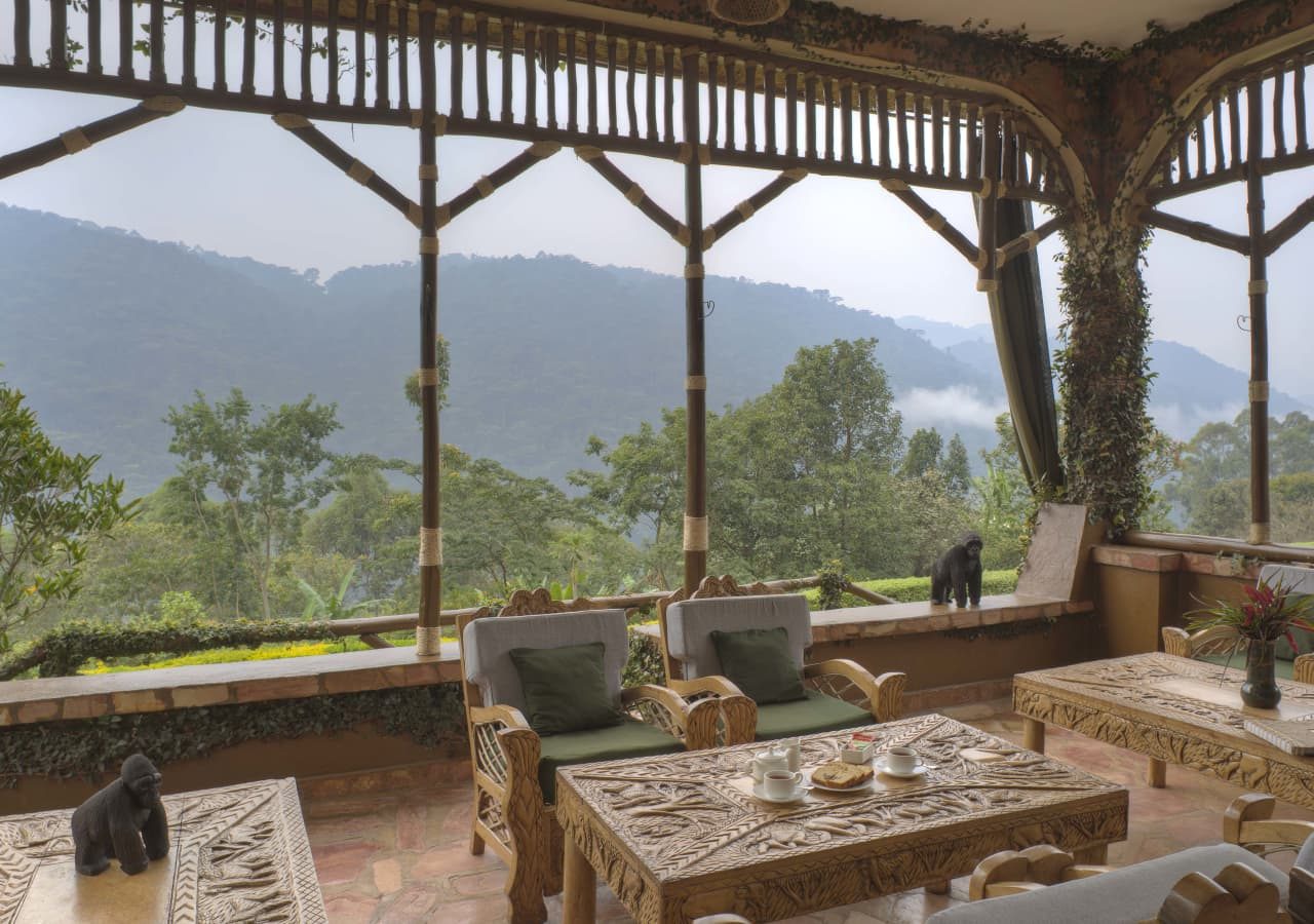 Silverback lodge views from the lounge area 1280