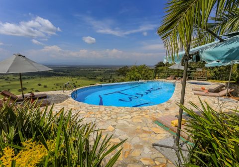 Katara lodge swimming pool 1280