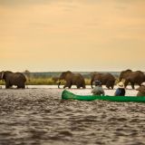 Anabezi luxury tented camp elephant viewing from a canoe 1280