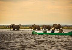 Anabezi luxury tented camp elephant viewing from a canoe 1280