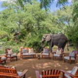 Time tide chongwe camp outdoor lounge elephant sighting 1280
