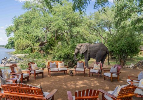 Time tide chongwe camp outdoor lounge elephant sighting 1280