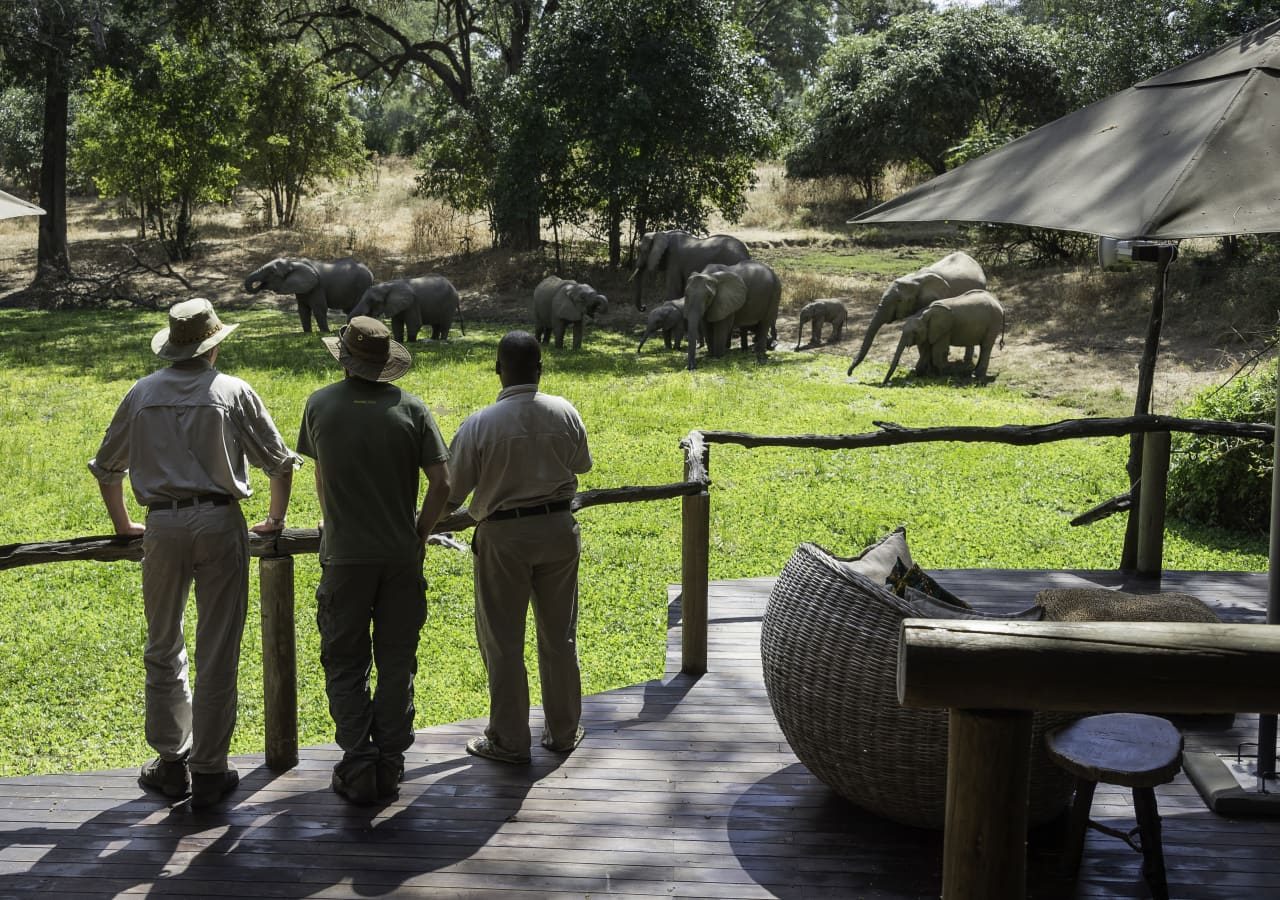 Bilimungwe bushcamp elephant viewing from the deck 1280