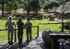 Bilimungwe bushcamp elephant viewing from the deck 1280