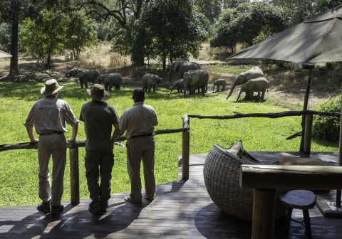 Bilimungwe bushcamp elephant viewing from the deck 1280