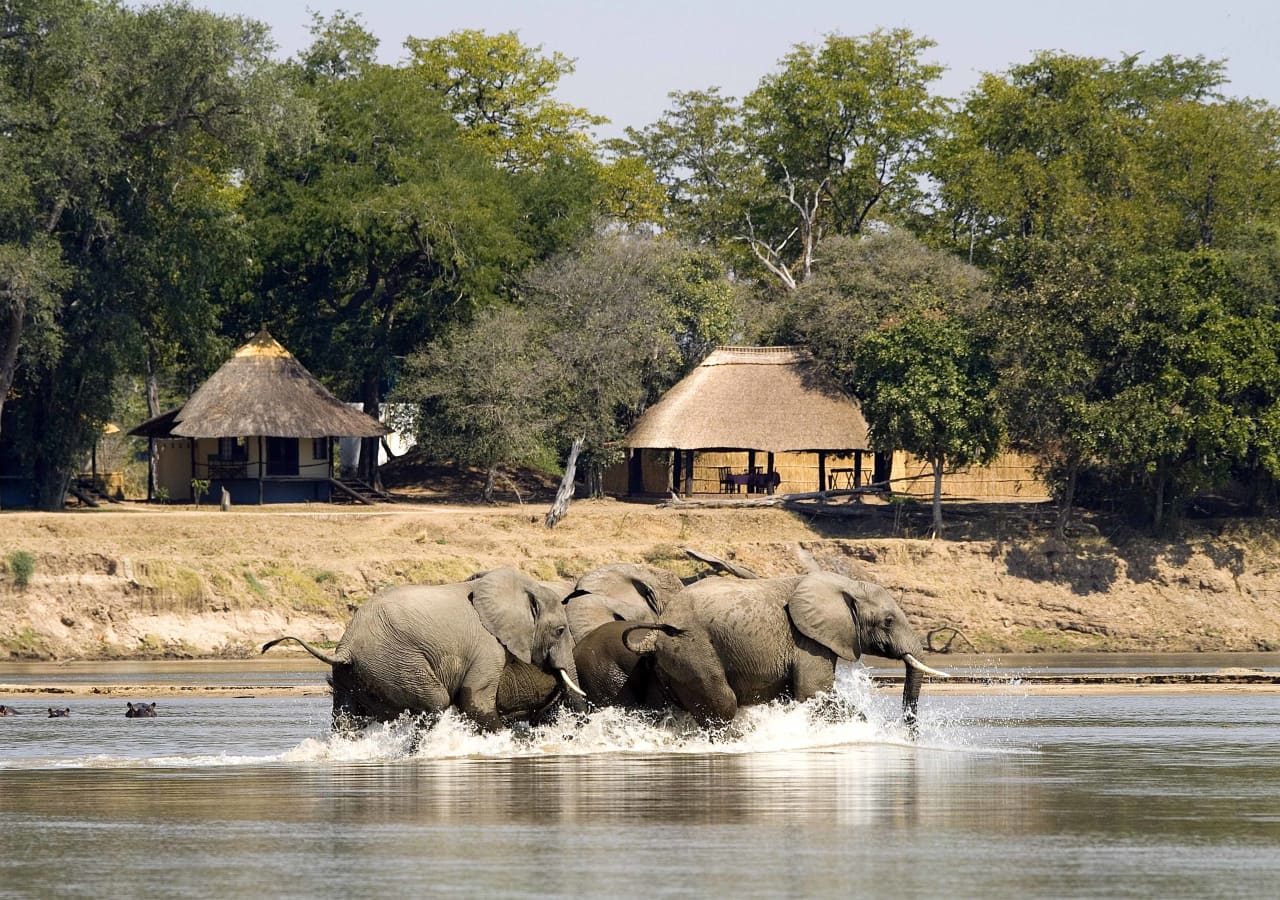 Nsefu camp elephants spotted infront of the camp 1280