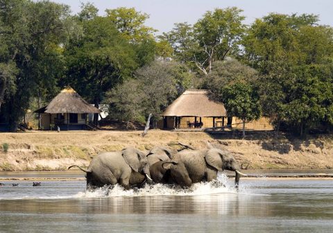 Nsefu camp elephants spotted infront of the camp 1280