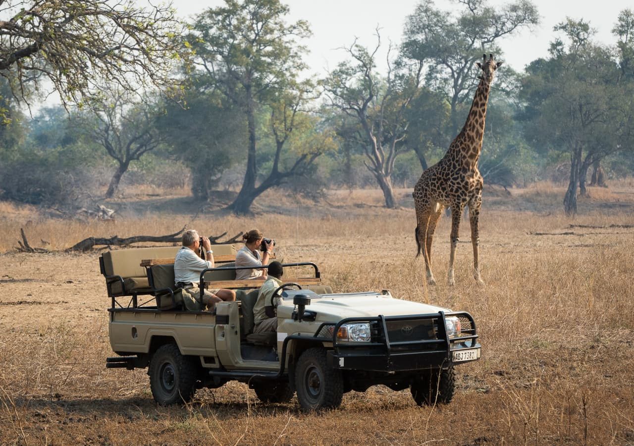 Tena tena camp giraffe spotting on a game drive 1280