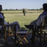 Davisons camp elephant sighting from the deck 1280