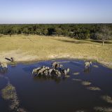 Little makalolo camp waterhole beside the camp 1280