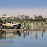 Somalisa acacia family game drive 1280