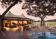 Somalisa acacia pool area 2400
