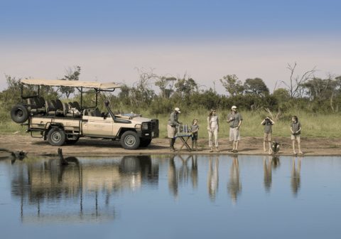 Somalisa acacia family game drive 1280