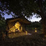 Johns camp tent exterior at night 1280