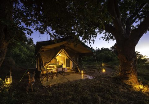 Johns camp tent exterior at night 1280