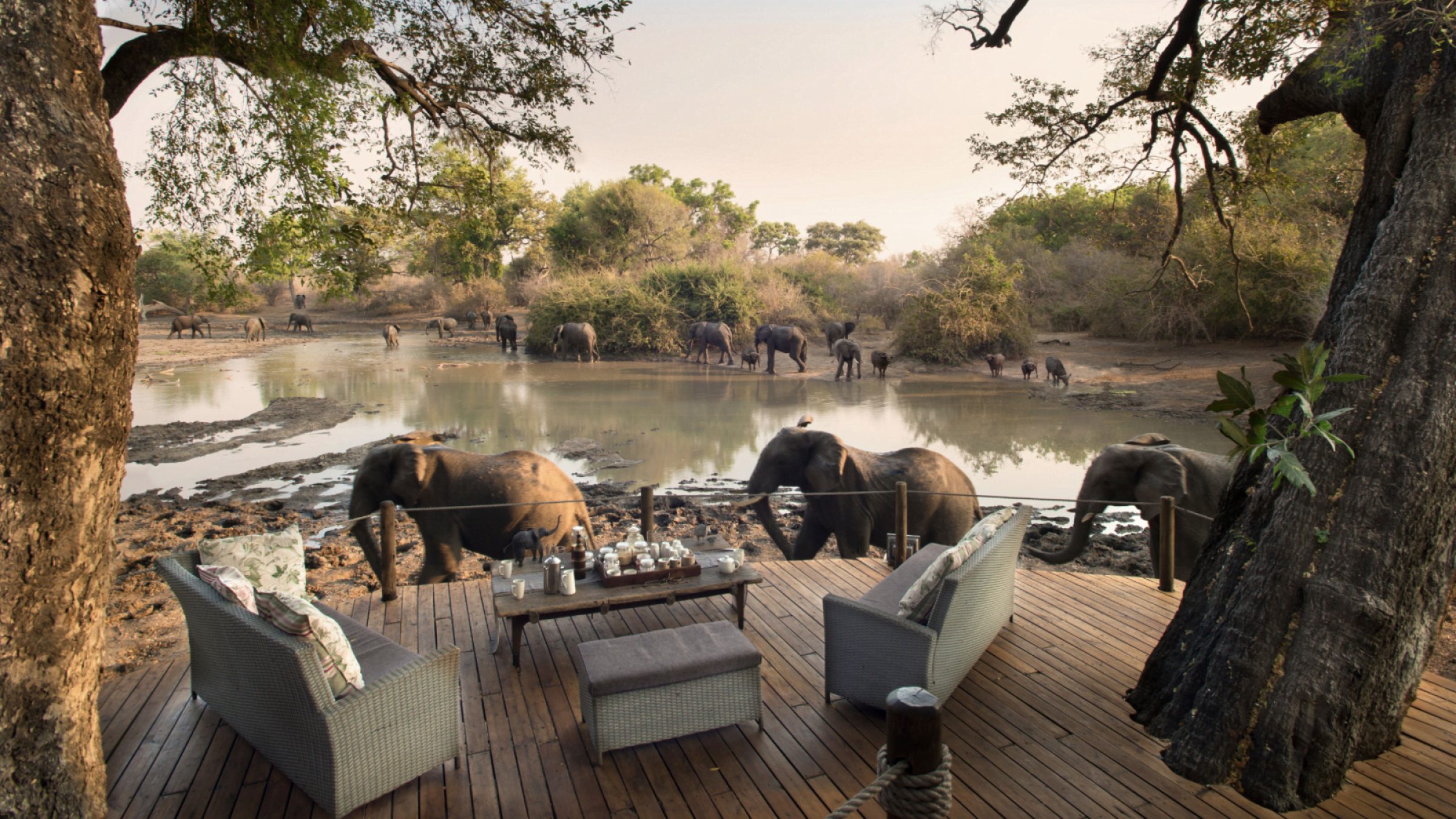 Kanga camp breakfast with a view of elephants 2400