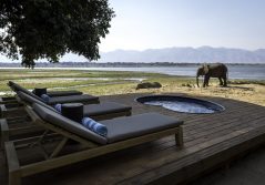 Little ruckomechi camp pool and deck with elephant passing by 1280