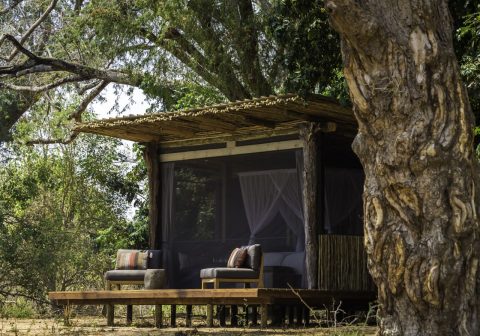 Little ruckomechi camp guest tent set in the trees 1280