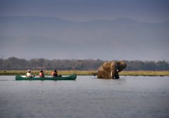 Nyamatusi mahogany mana pools canoe safari with elephant sighting 1280