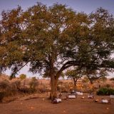 Matetsi victoria falls bush dinner experience 1280