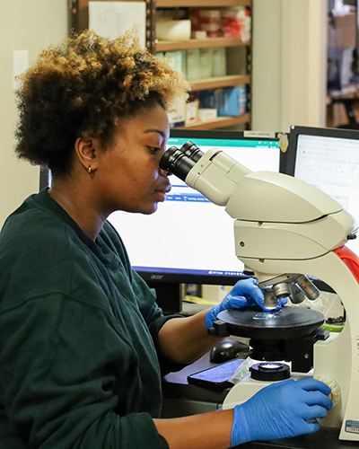 Analytical Lab Director