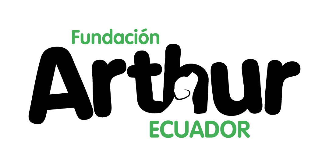 Fundación Arthur EC