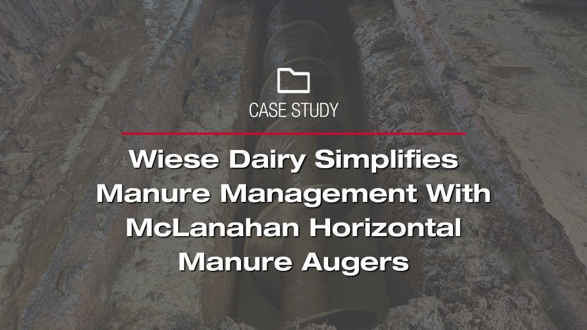 Wiese dairy featured image