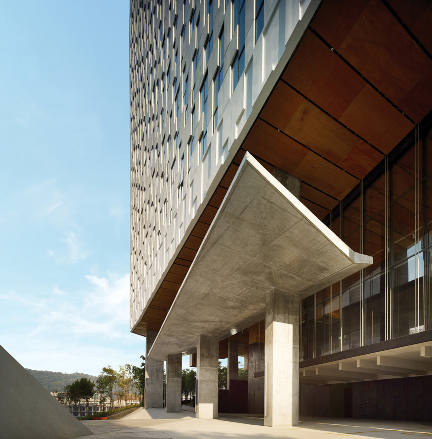 Point 92 Main Entrance Marine Plywood Ceilings Buttoned Tightly