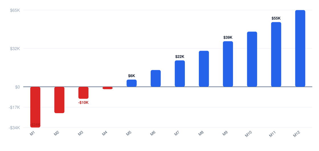 background check services Year 1 monthly cash flow chart from month 1 to month 12