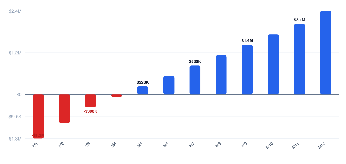 biotechnology Year 1 monthly cash flow chart from month 1 to month 12
