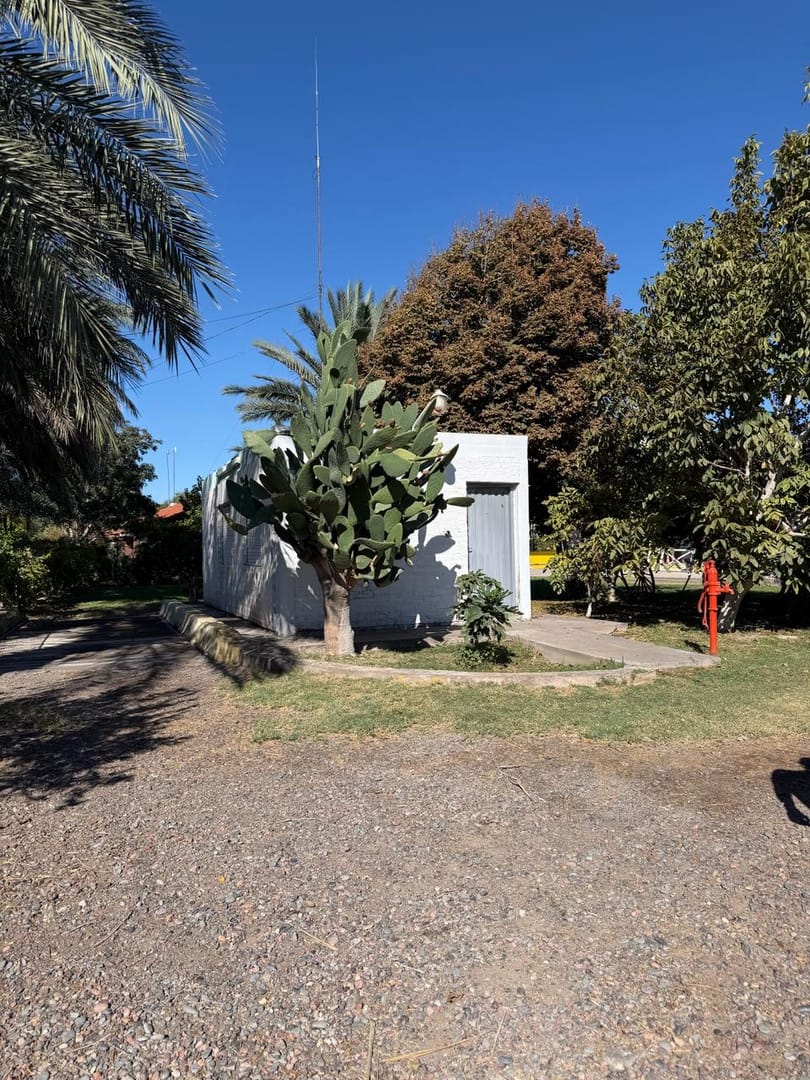 VENTA TERRENO EN RAWSON SAN JUAN 1.2 HA - Foto 9