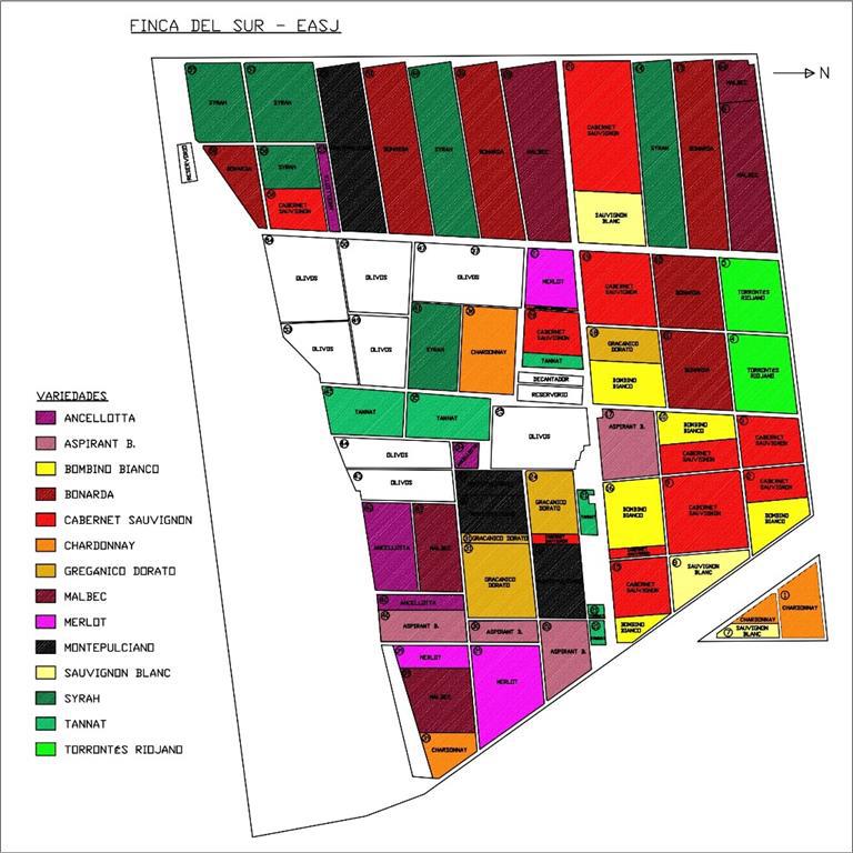 VENTA CAMPO EN ULLUN SAN JUAN 265 HA - Foto 2