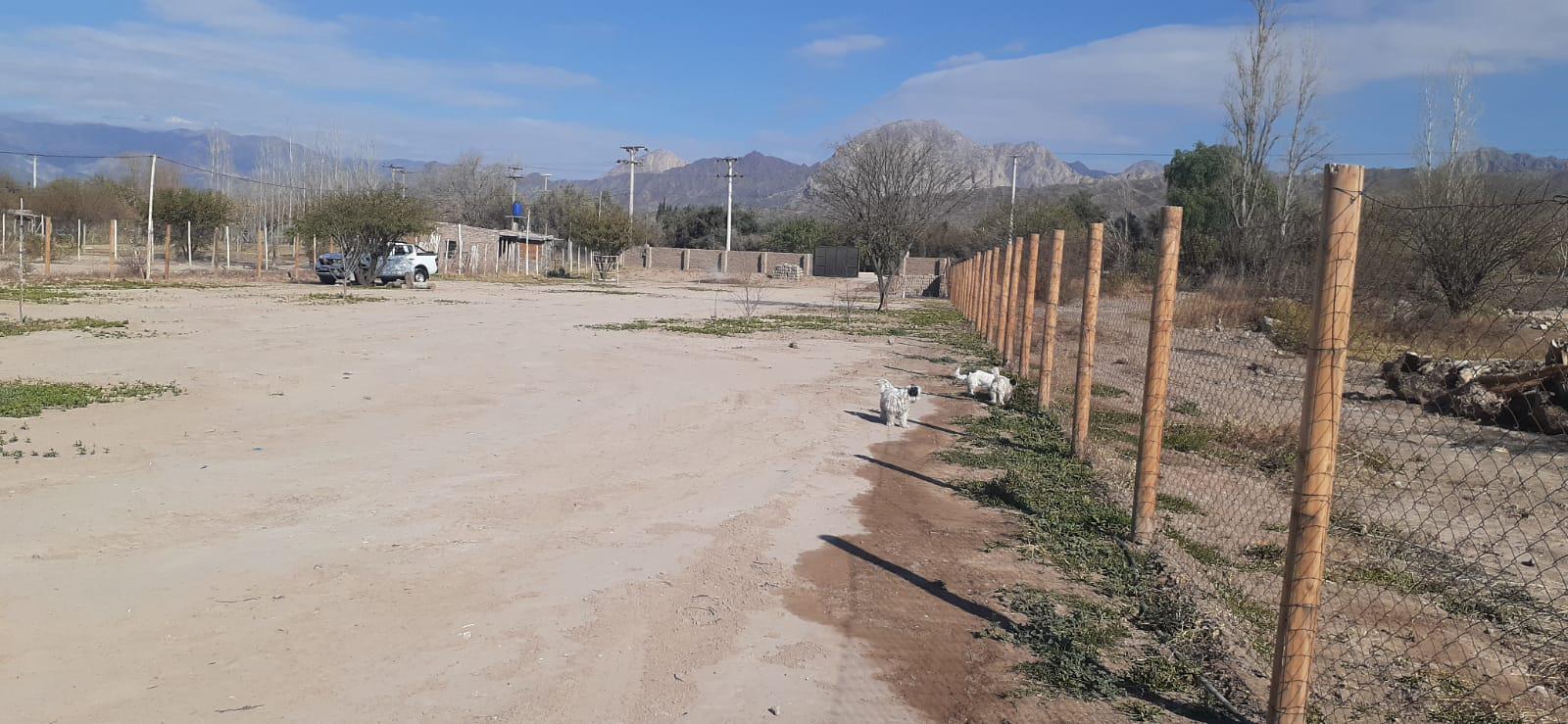 LOTE 3808 M2 NIVELADO CONSTRUCCIÓN INICIADA SERVICIOS ULLUM - Foto 4