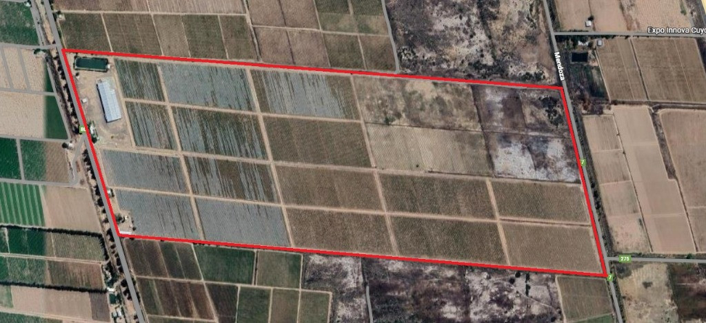 Venta Terreno en Pocito, 96.5 HA, San Juan