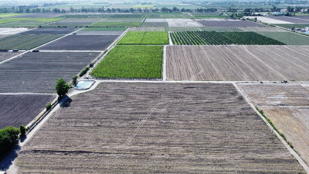 Campo en Venta